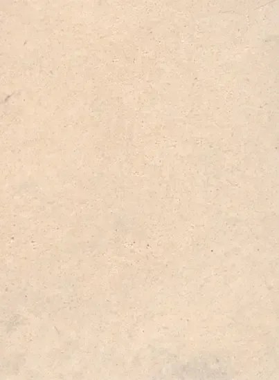 Terrastone Rustique floor - 15kg - 17 - champagner havane - 15 kg
