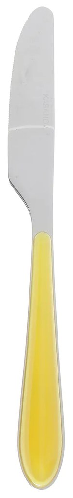 Coltello In acciaio