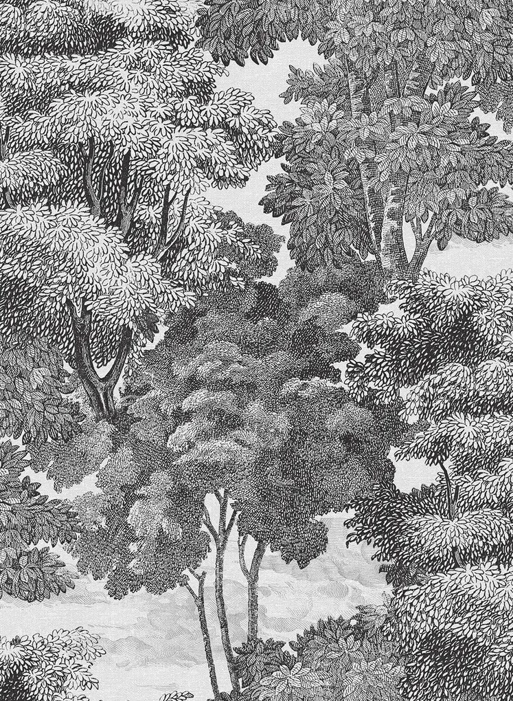 Rebel Walls Carta da parati Saint Sebastian - Graphite