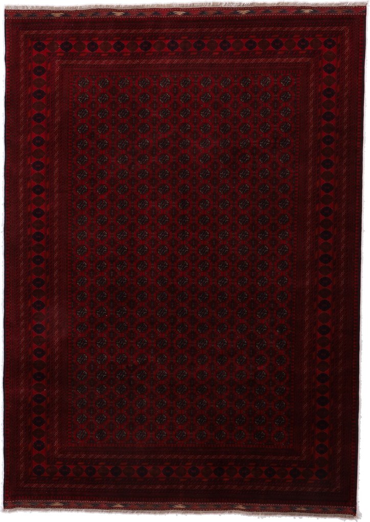 Afghan Tappeto orientale 240 x 170 (Afghanistan) Keine Angabe
