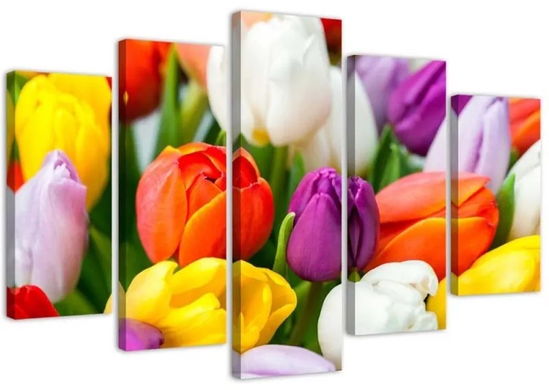 Quadri Quadro 5 pezzi Stampa su tela Fiori di tulipani colorati