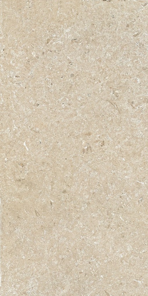 Cotto D'Este Secret Stone 20mm Pavimento Rivestimento 60x120 Cm EFFETTO PIETRA Bocciardata Rettificato Precious Beige