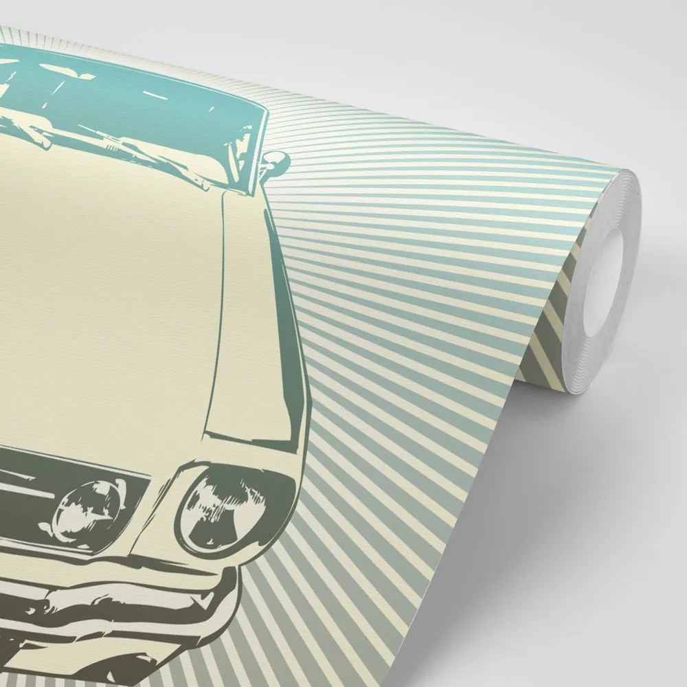 Carta da parati autoadesiva – Pop art auto