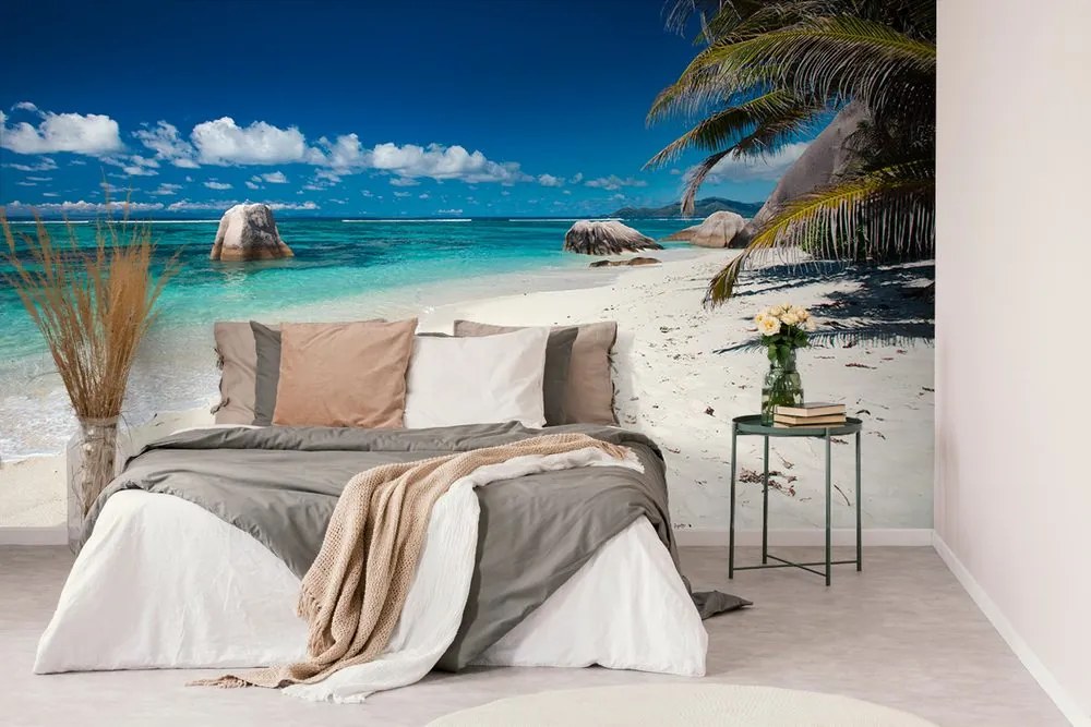 Carta da parati – Spiaggia Anse Source