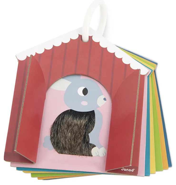 Schede Tattili Della Fattoria