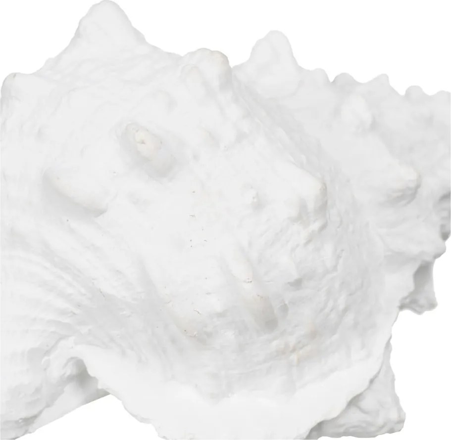 Statua in poliresina (altezza 12 cm) Seashell - Ixia
