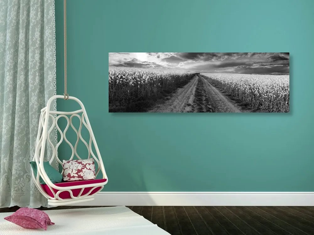 Quadro su tela – Tramonto sul campo in Slovacchia in bianco e nero
