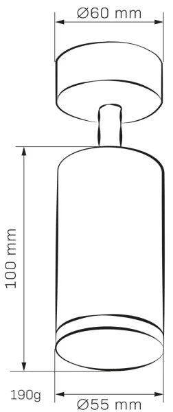 Luce Spot da bagno TURYN 1xGU10/10W/230V IP44 bianco