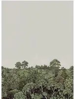 Nobilis Carta da parati panoramica Canopy 1 - MHP10