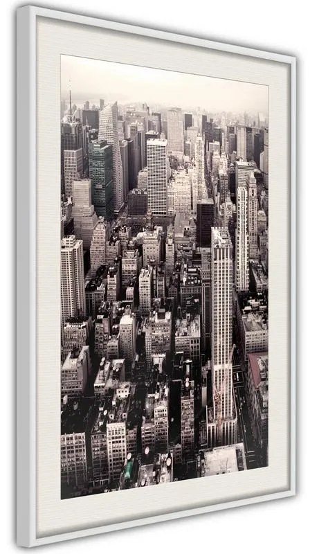 Poster  New York from a Bird's Eye View  Cornice Quadri Cornice d'oro con passe-partout, Larghezza x Altezza Home decor 30x45