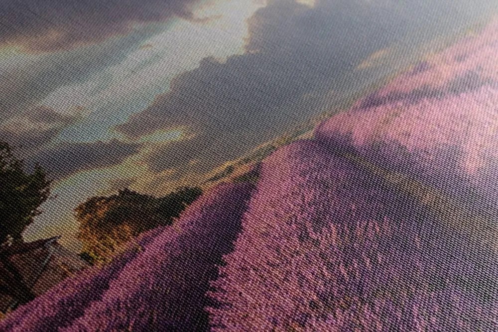 Stampa su tela – Terra dei campi di lavanda