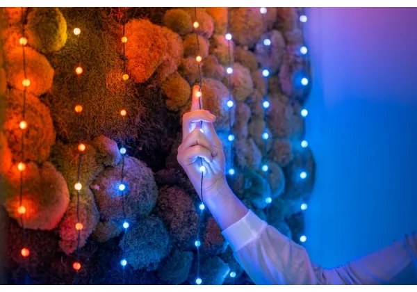 Twinkly TWKP100RGB-T - LED RGB Dimmerabile Catena natalizia 100xLED 8 m USB Wi-Fi