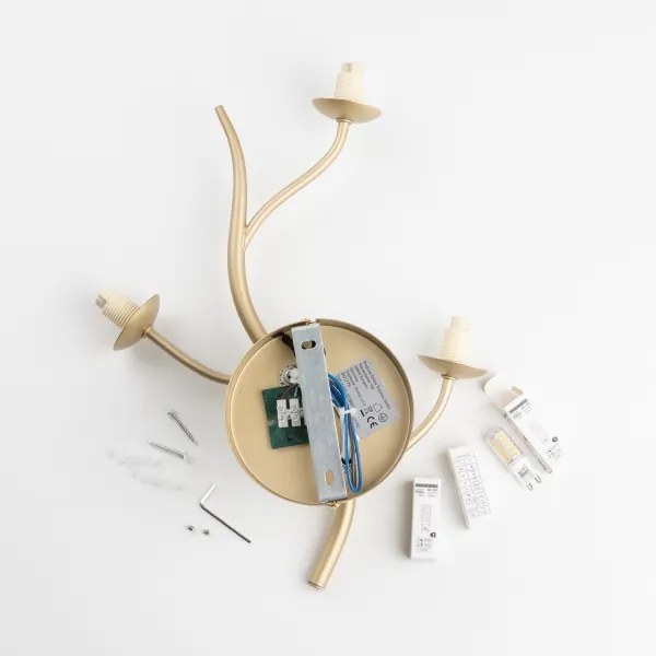 Brilagi - Applique a LED MISTEL 3xG9/3W/230V oro