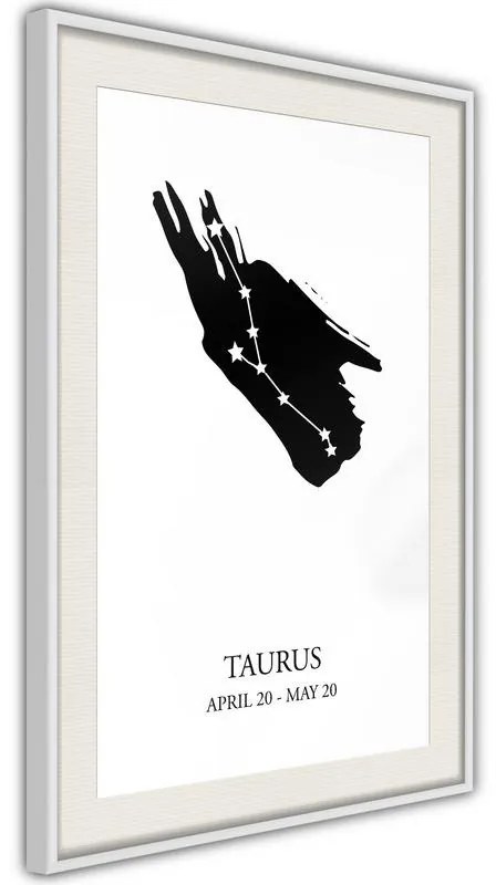 Poster  Zodiac: Taurus I  Cornice Quadri Cornice nera, Larghezza x Altezza Home decor 20x30