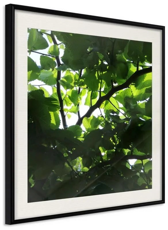 Poster  Under Cover of Leaves  Cornice Quadri Cornice nera con pass-partout, Larghezza x Altezza Home decor 20x20