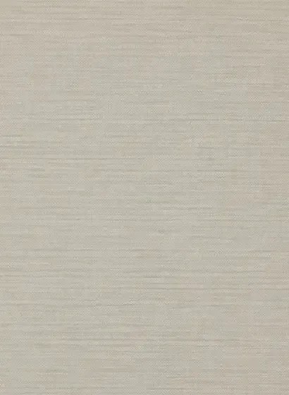 Colefax & Fowler Tapete Appledore - Silver