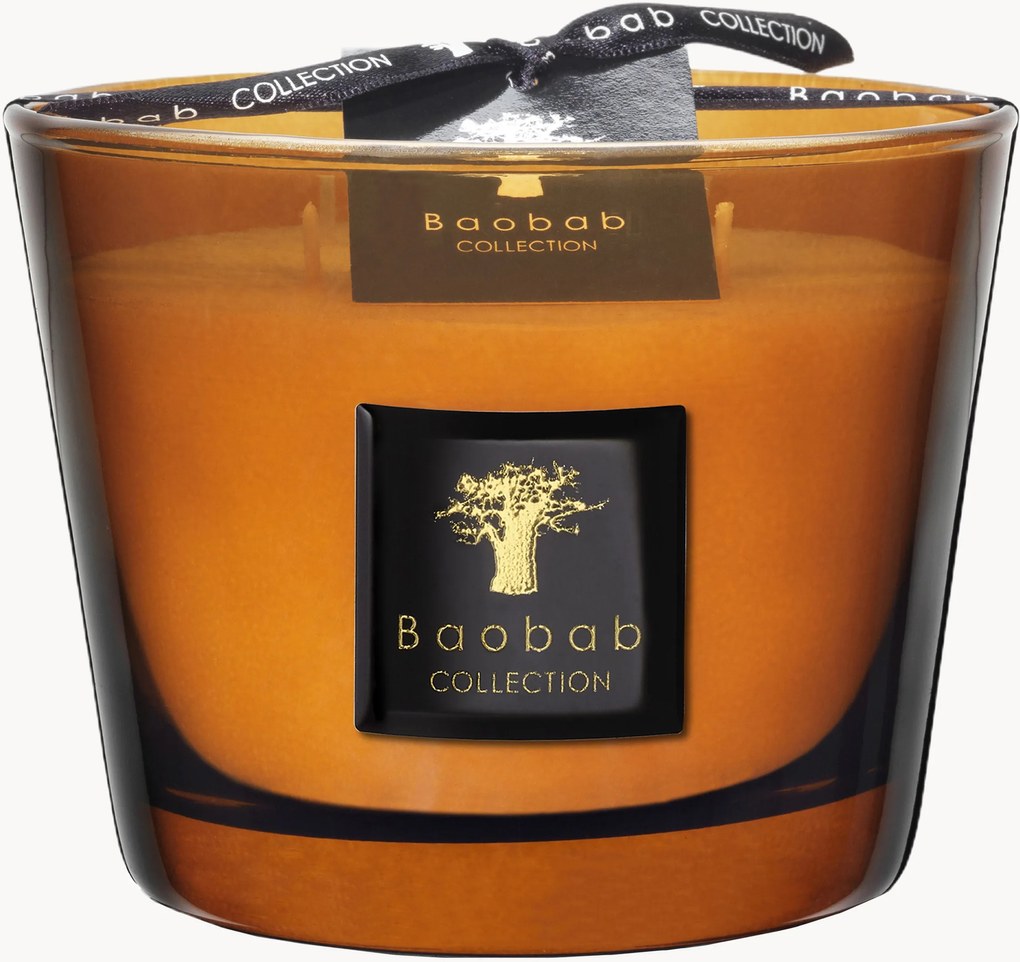 Candela profumata Prestigieuses (cuoio, vetiver, muschio)