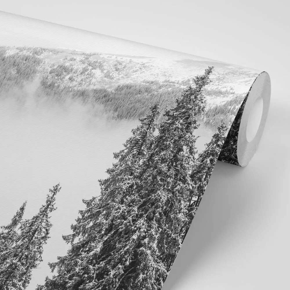 Carta da parati autoadesiva – Alberi di pino innevati in bianco e nero