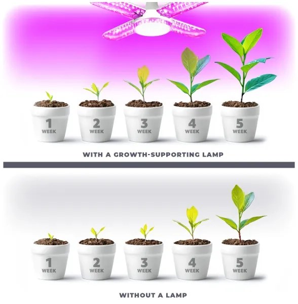 LED Lampadina per la crescita delle piante PLANTY E27/40W/230V 1200K