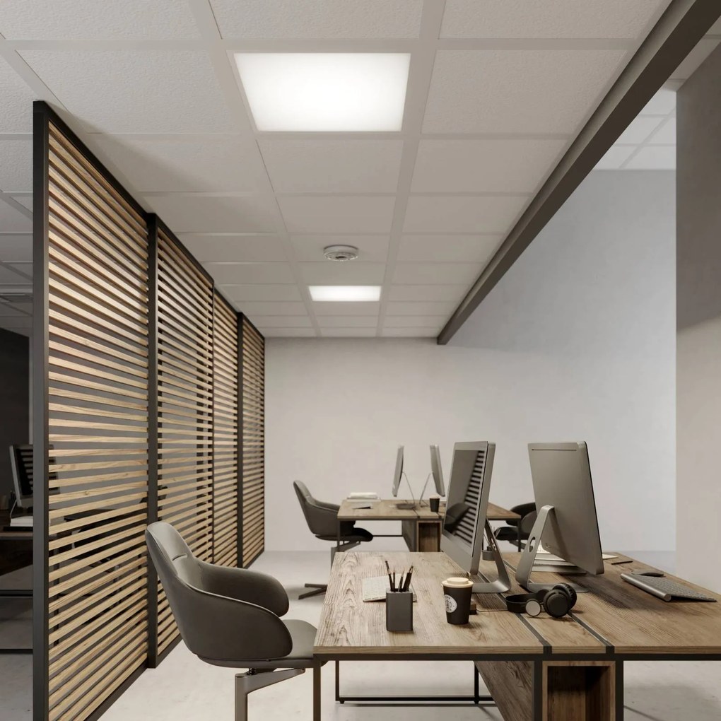 Pannello Arcchio LED Vinas, 4.000 K, 36 W, 62 cm x Vinas, Bianco / Opale, Studio / Ufficio, Plastica, Moderno, Pannello LED