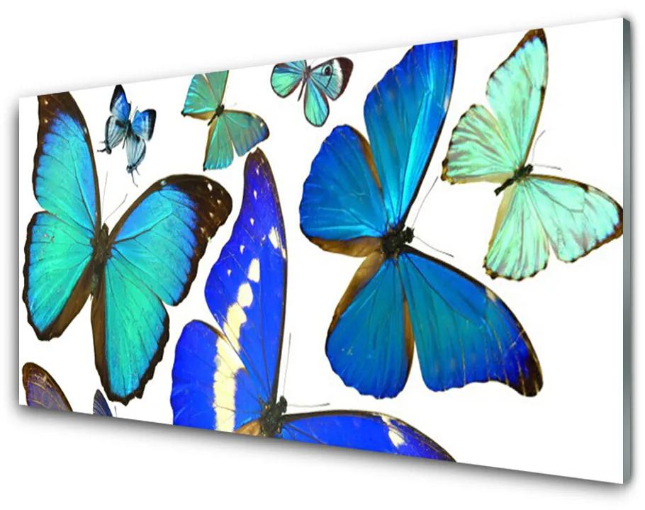 Quadro acrilico Farfalle della natura 100x50 cm