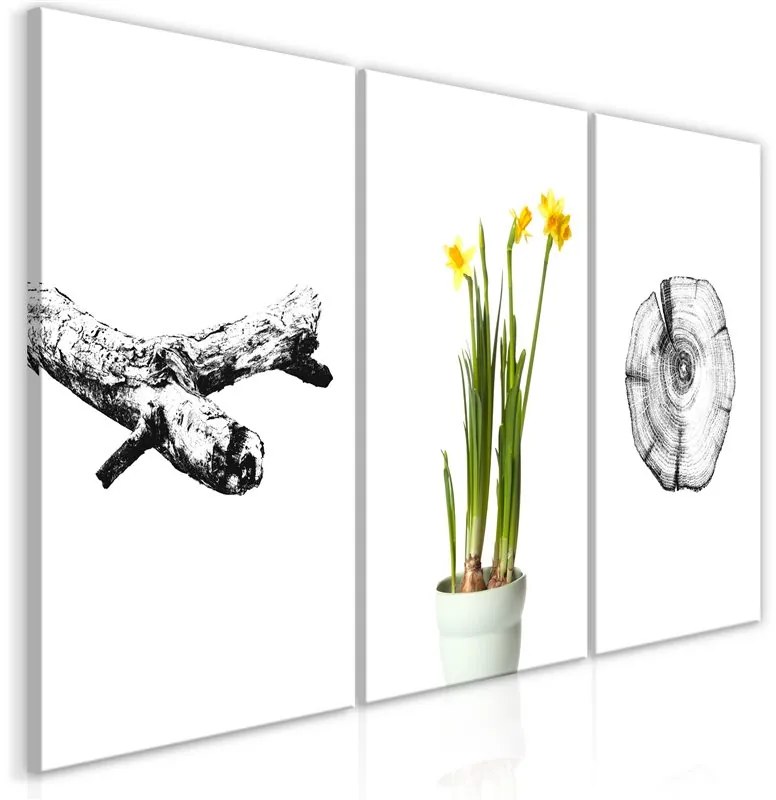 Quadro  Nature (Collection)  Colore Giallo, Dimensioni e Misure 120x60