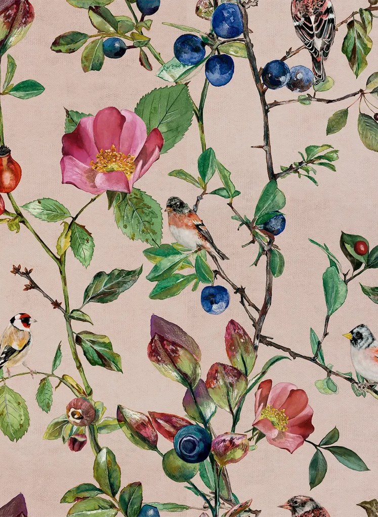 Coordonne Tapete Goldfinch Song - Blush