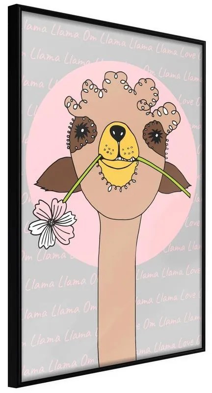 Poster  Cute Llama  Cornice Quadri Cornice nera, Larghezza x Altezza Home decor 20x30