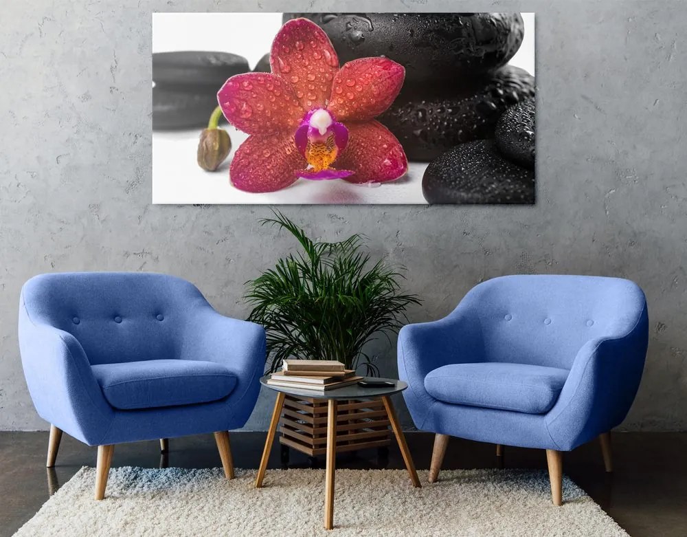 Stampa su tela – Orchidea e pietre Zen su sfondo bianco