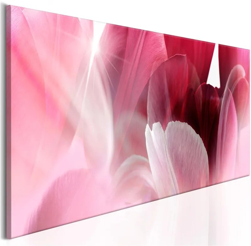 Quadro  Flowers: Pink Tulips  Colore Rosso, Dimensioni e Misure 120x40