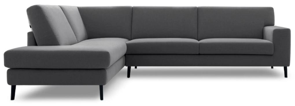 Felis LIAM |divano|