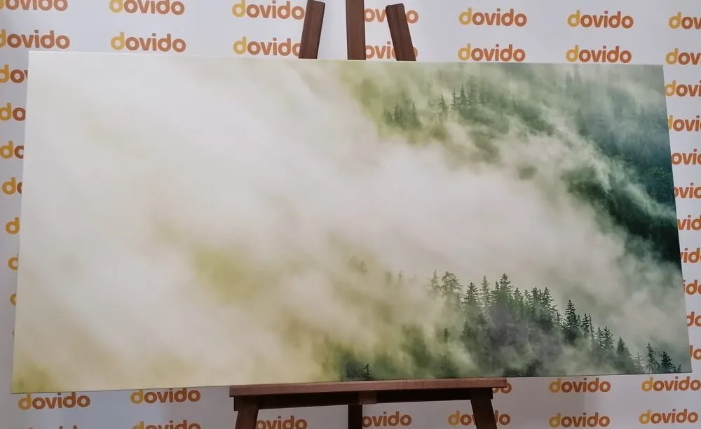 Quadro su tela – Foresta nebbiosa