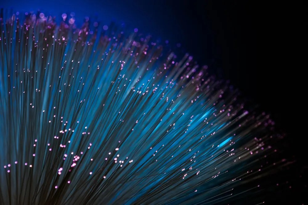 Carta da parati – Fibra ottica