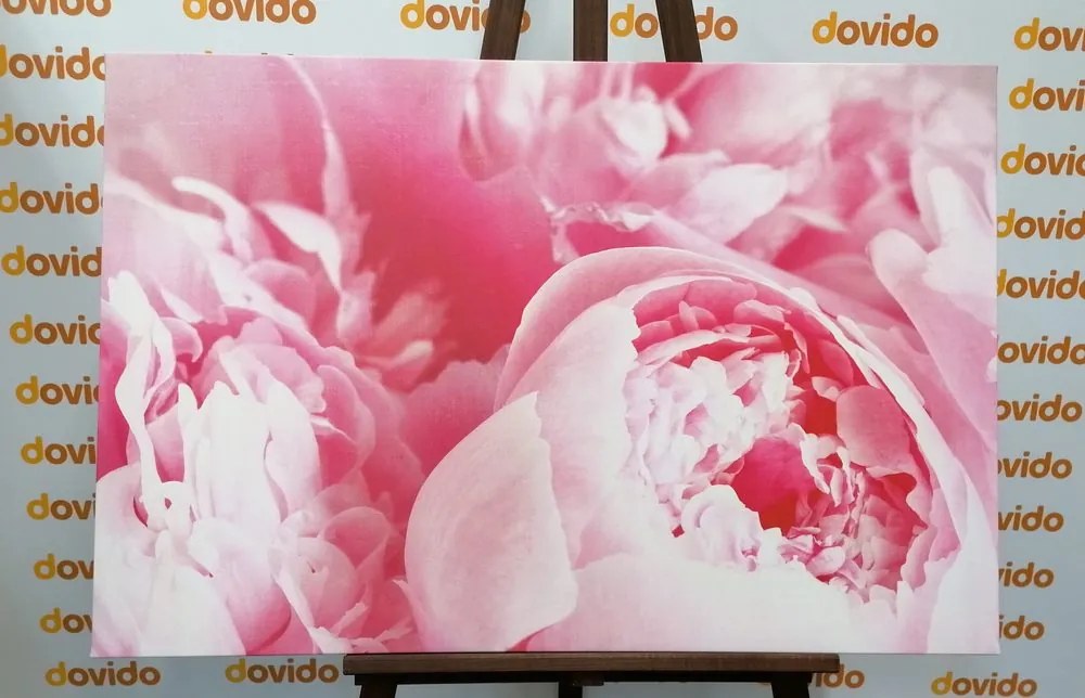 Stampa su tela – Petali di fiore