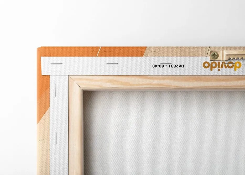 Quadro su tela – Linee artistiche Peach Fuzz