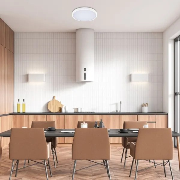 Rabalux 71428-Plafoniera LED dimmerabile da bagno ALENZO LED/24W/230V IP44 bianco + +TC