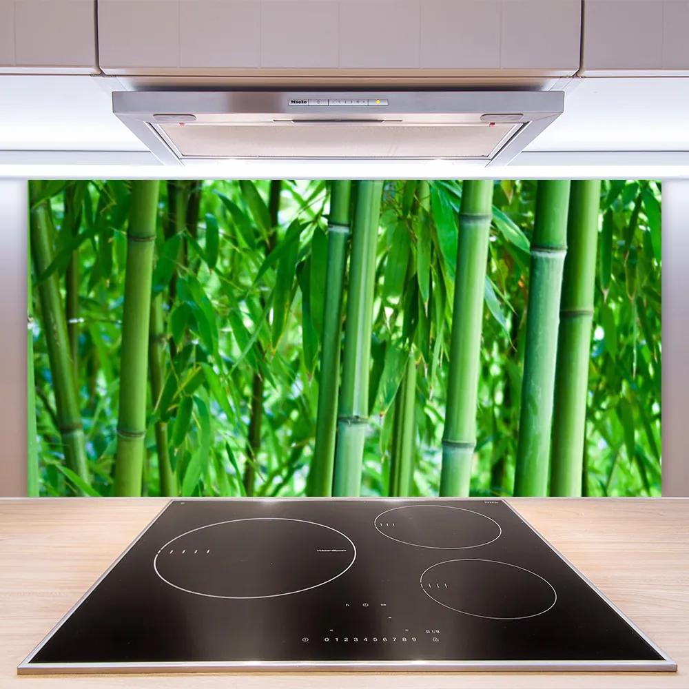 Pannello rivestimento parete cucina Stelo di piante di bambù 100x50 cm