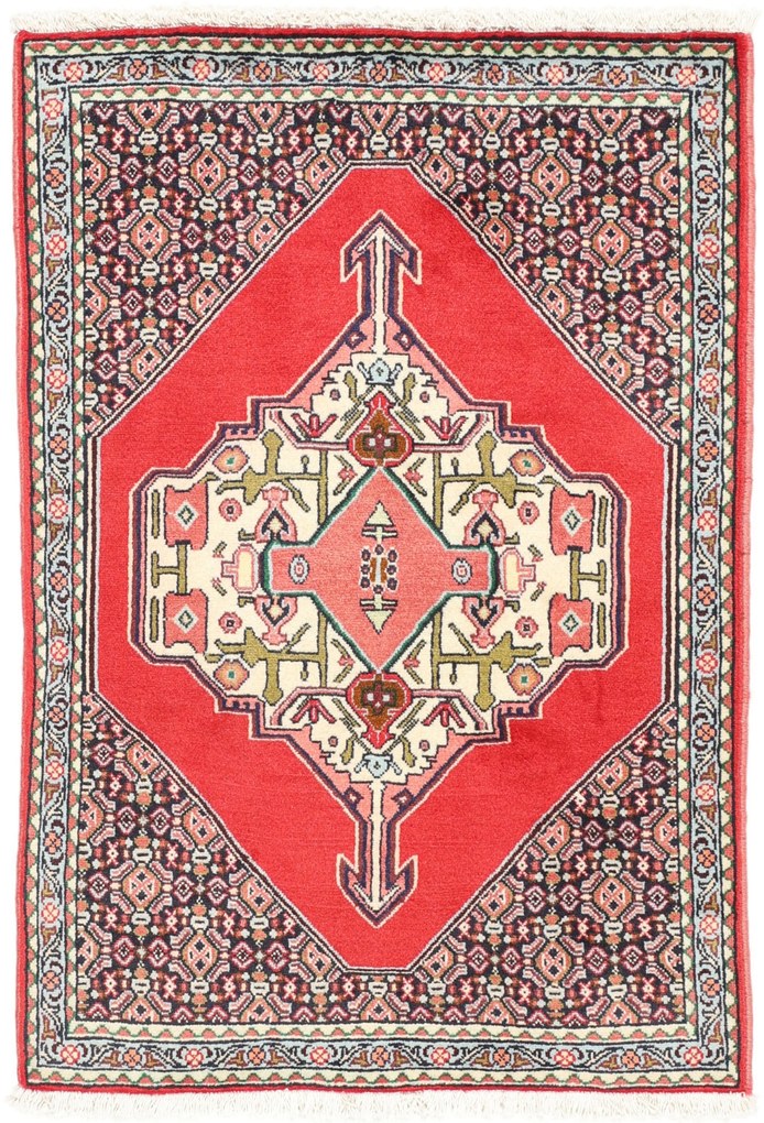 Senneh Tappeto persiano 70 x 100 (Iran) Annodato A Mano