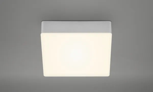 Briloner 7069-014 - Plafoniera LED LED/11W/230V argento