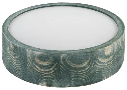 Brilagi - Lampada da soffitto PINO 1xE27/15W/230V pino/verde diam. 27,5 cm