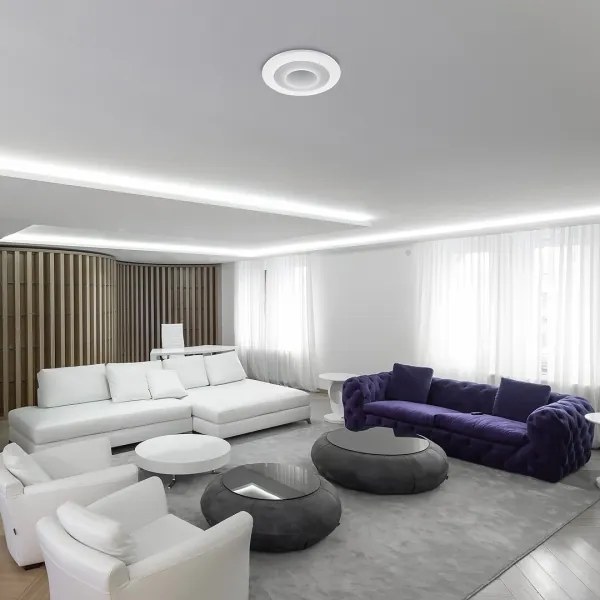 Rabalux - Plafoniera LED RGB dimmerabile LED/40W/230V + +TC 3000-6000K