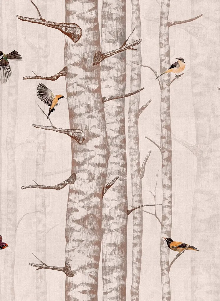 Coordonne Carta da parati Birch Trees - Pink