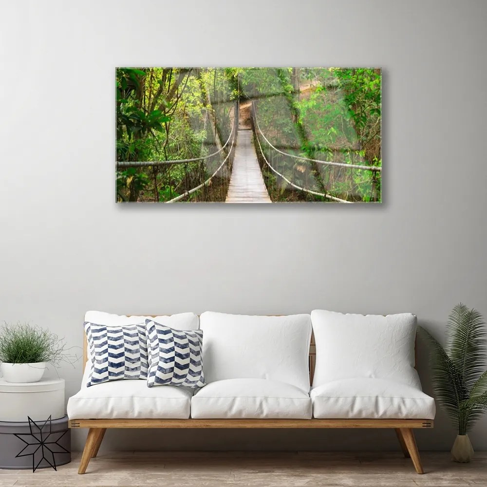 Quadro in vetro acrilico Ponte della giungla della foresta tropicale 100x50 cm