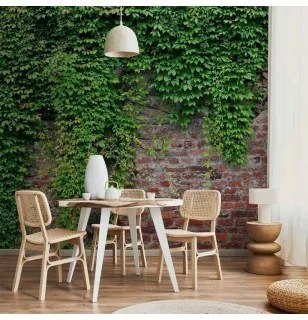 Fotomurale  Edera e mattoni Lavabile 150x105
