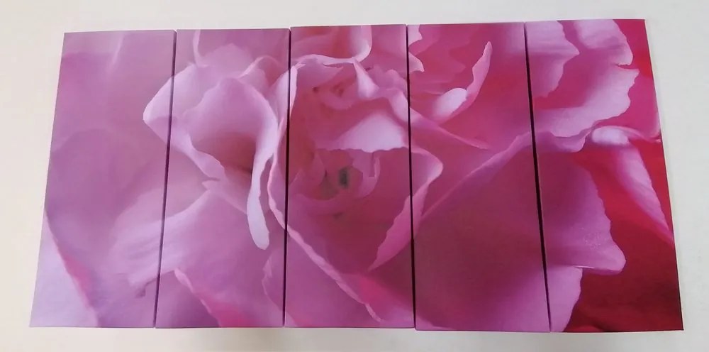 Quadri 5 pezzi – Petali di garofano