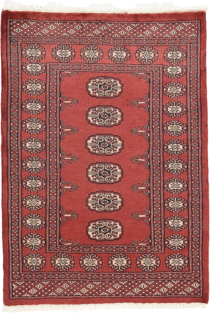 Bokhara Tappeto orientale 110 x 80 (Pakistan) Annodato A Mano