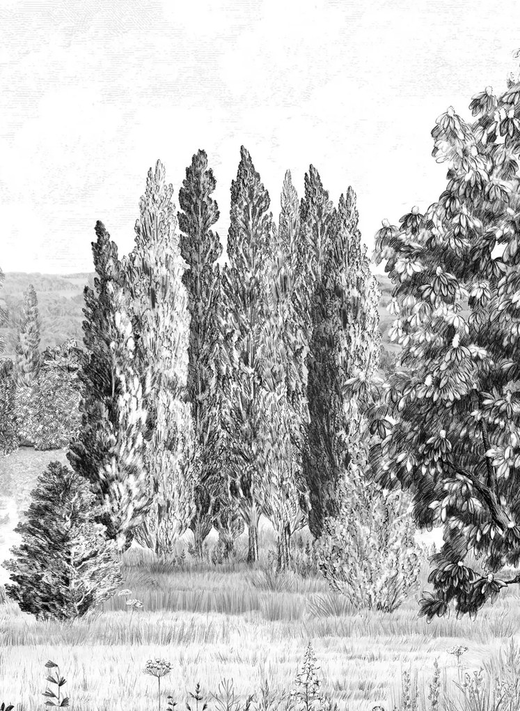 Isidore Leroy Carta da parati panoramica Campagne Grisaille - B