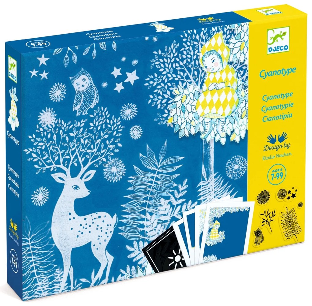 Set creativo - Cianotipia - Al chiaro della luna