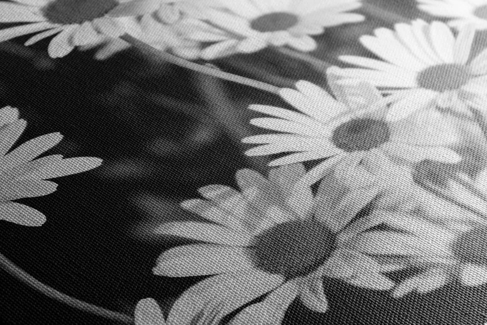 Stampa su tela – Margherite in giardino in bianco e nero