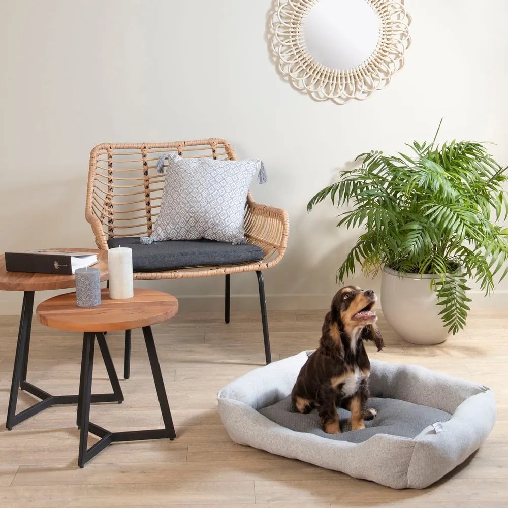 Cuccia grigio chiaro per cane 60x48 cm Graphene – Love Story